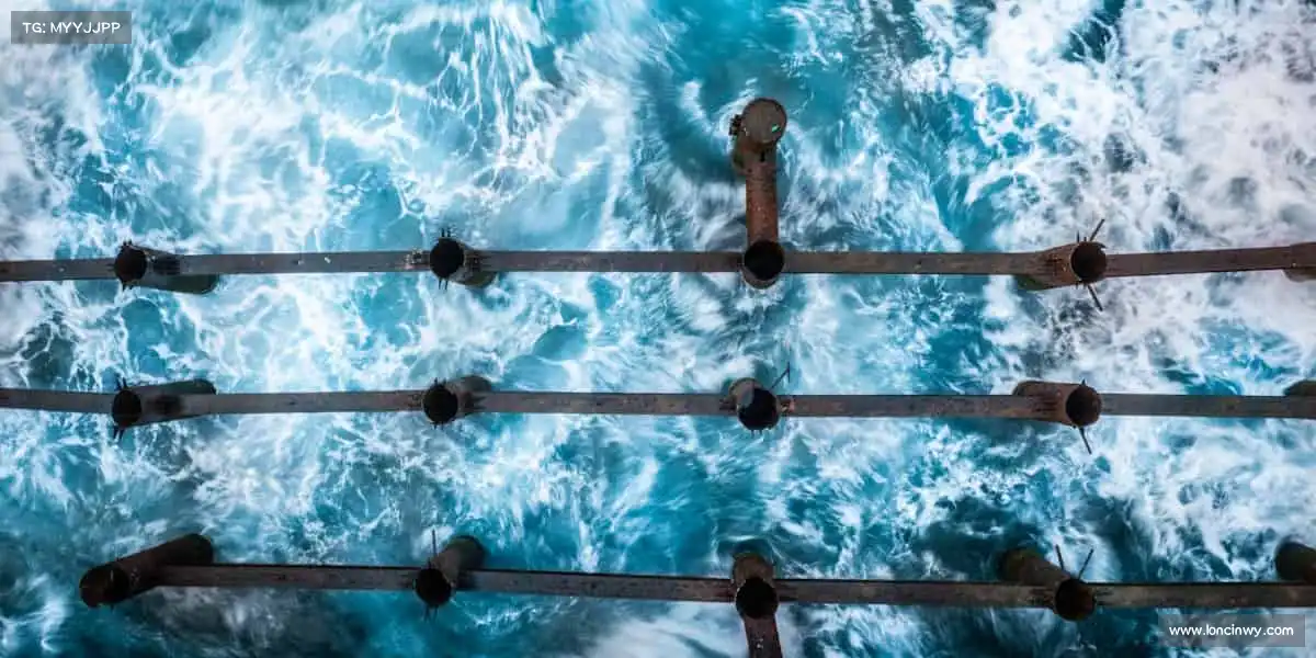 星空官网每一次跳跃，都是对极限的挑战！⛹️♀️